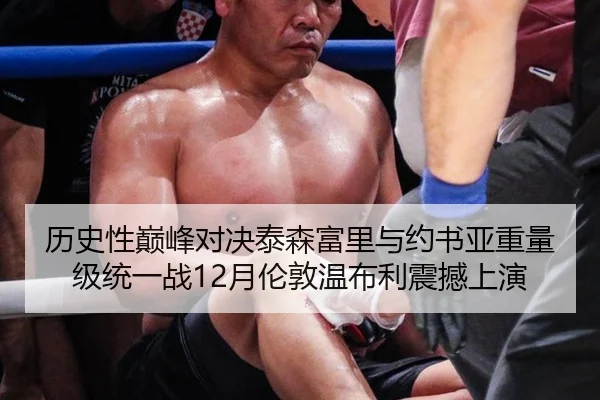 历史性巅峰对决泰森富里与约书亚重量级统一战12月伦敦温布利震撼上演