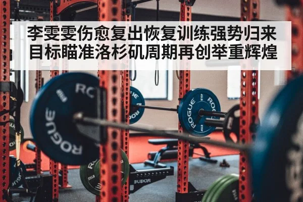 weightlifting barbell gym